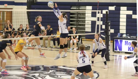 Knights, FP, Nordics notch volleyball wins